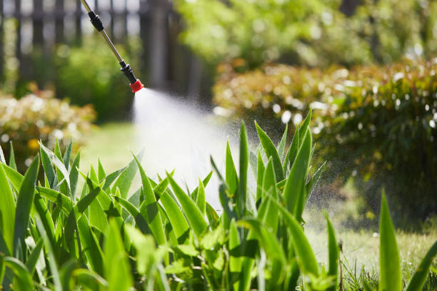 Tamper-Resistant Bait Stations for Rodents in Loretto