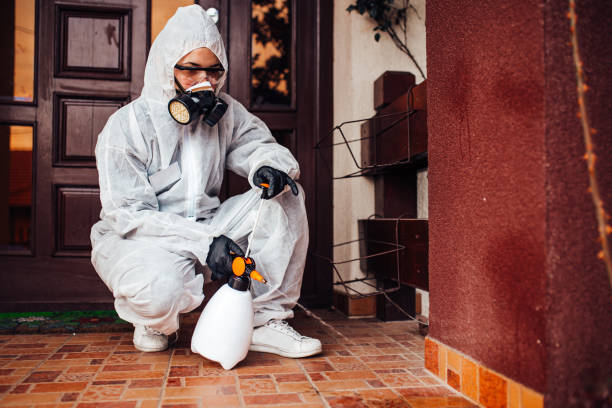 Attic and Crawl Space Rodent Treatment in Loretto