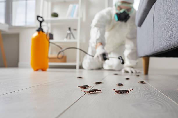 Commercial Rodent Management in Loretto